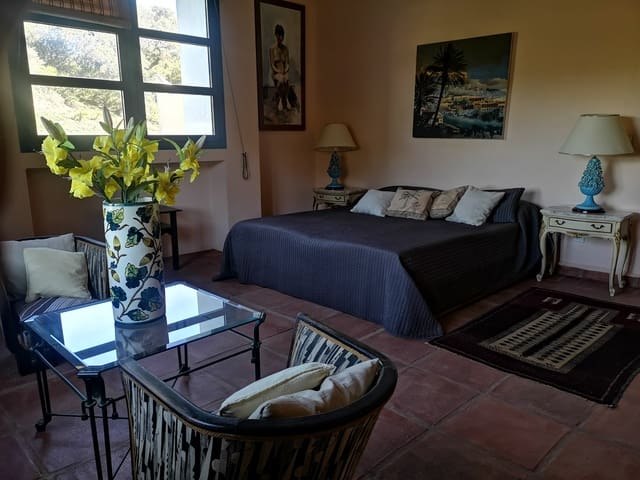 Image No.24-7 Bed Country House for sale