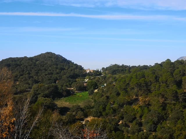 Image No.37-7 Bed Country House for sale