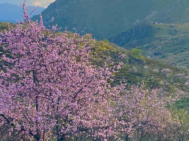 Image No.12-3 Bed Townhouse for sale