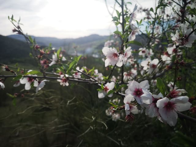 Image No.10-Land for sale