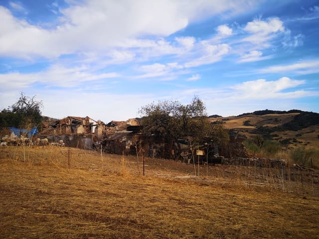 Image No.4-Land for sale