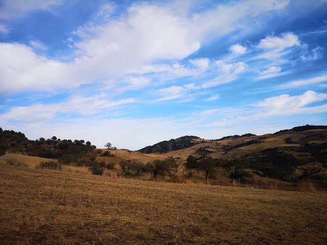 Image No.6-Land for sale