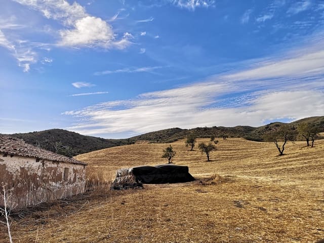 Image No.8-Land for sale