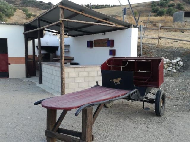 Image No.2-7 Bed Country House for sale