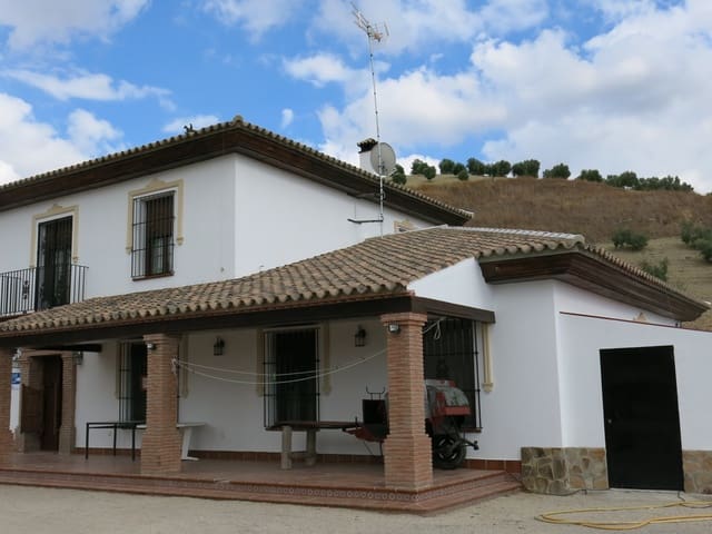 Image No.21-7 Bed Country House for sale