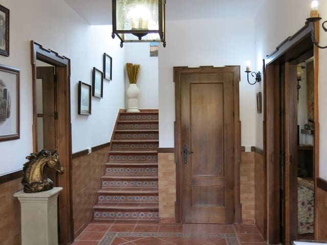 Image No.22-7 Bed Country House for sale