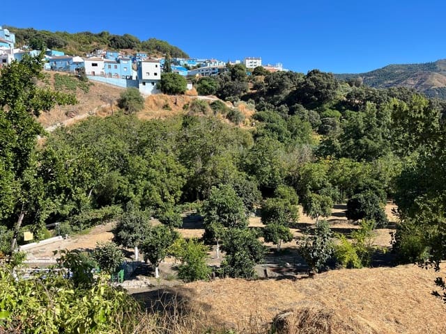 Image No.19-5 Bed Country House for sale