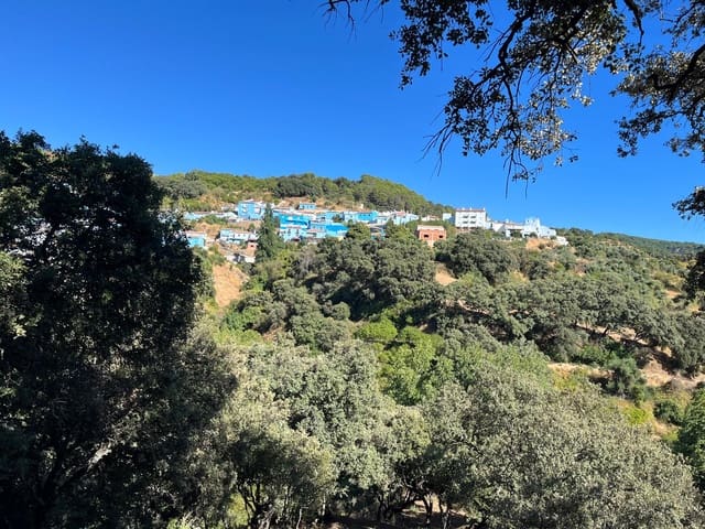 Image No.21-5 Bed Country House for sale