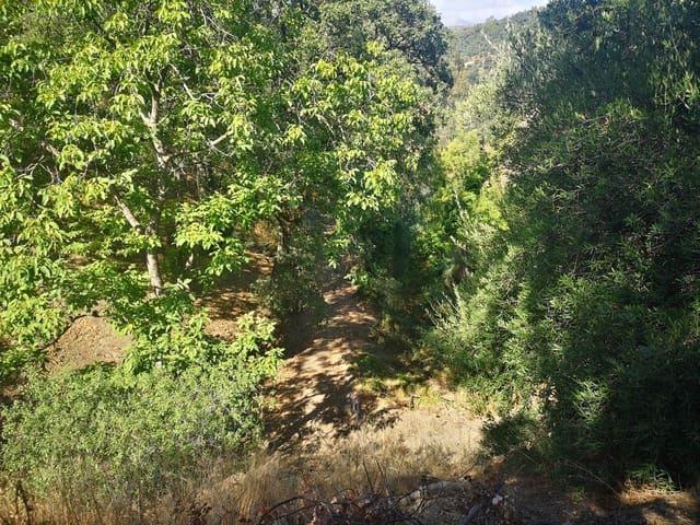 Image No.15-Country House for sale