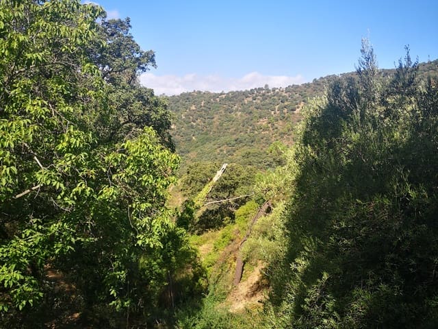 Image No.17-Country House for sale