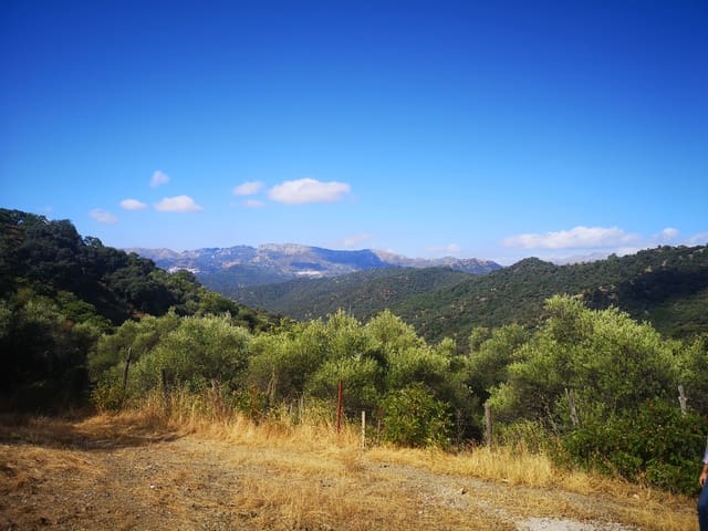 Image No.18-Country House for sale