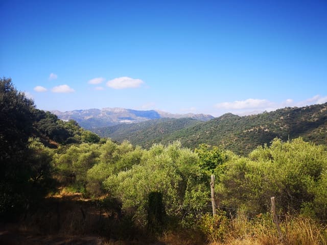 Image No.19-Country House for sale