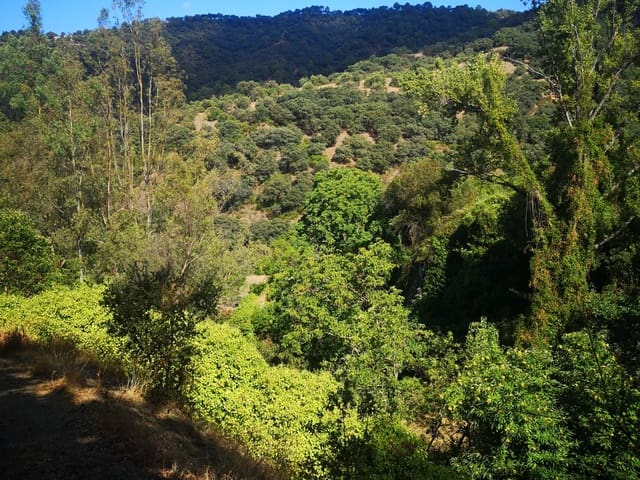 Image No.20-Country House for sale