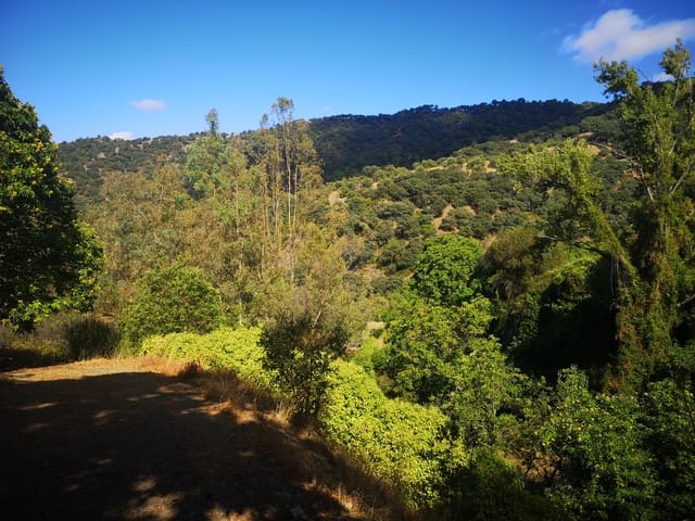 Image No.21-Country House for sale