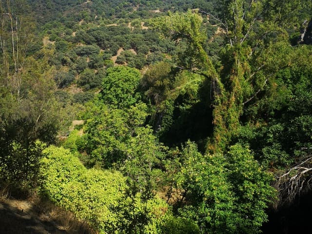 Image No.23-Country House for sale