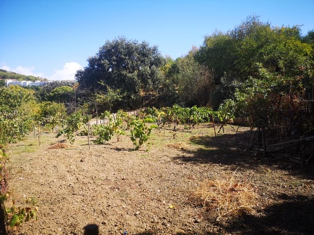 Image No.24-Country House for sale