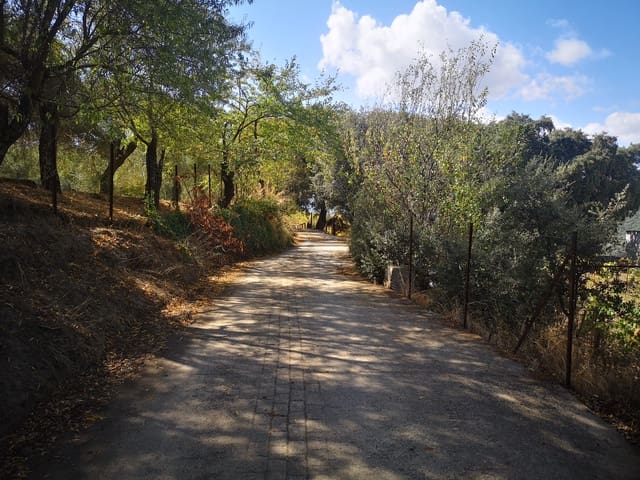 Image No.25-Country House for sale