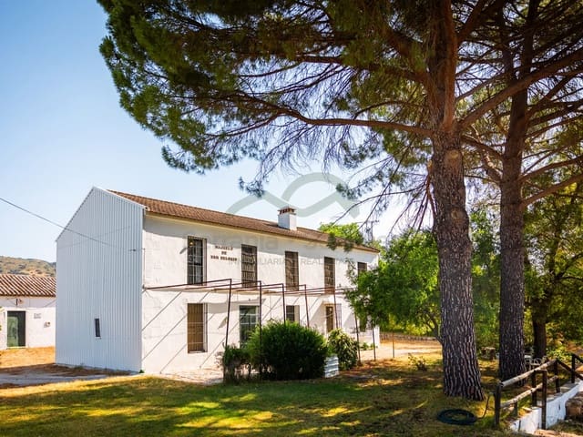 Image No.11-8 Bed Country House for sale