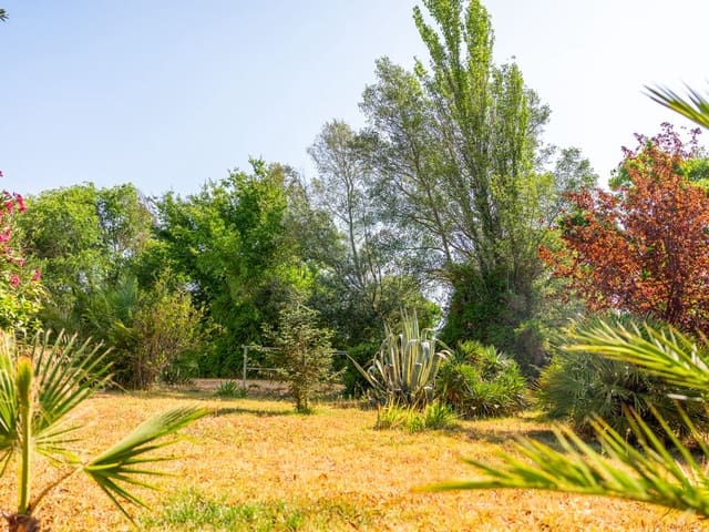 Image No.13-8 Bed Country House for sale