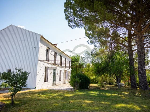 Image No.18-8 Bed Country House for sale