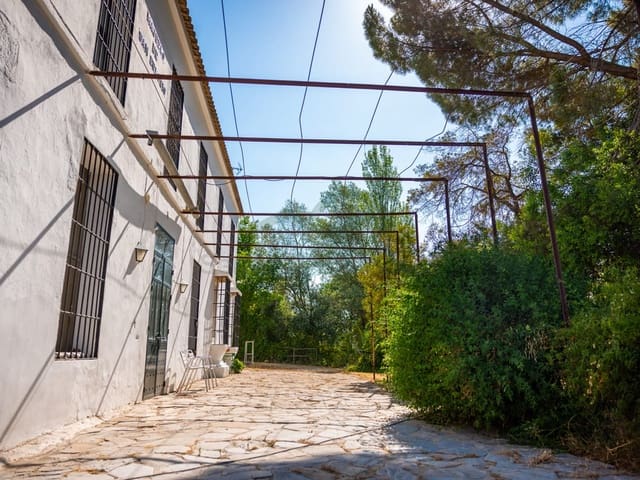 Image No.19-8 Bed Country House for sale