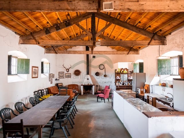 Image No.34-8 Bed Country House for sale