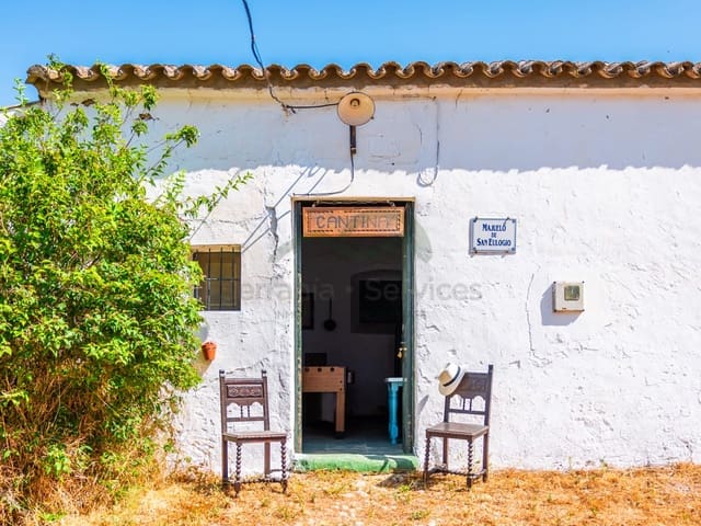 Image No.41-8 Bed Country House for sale