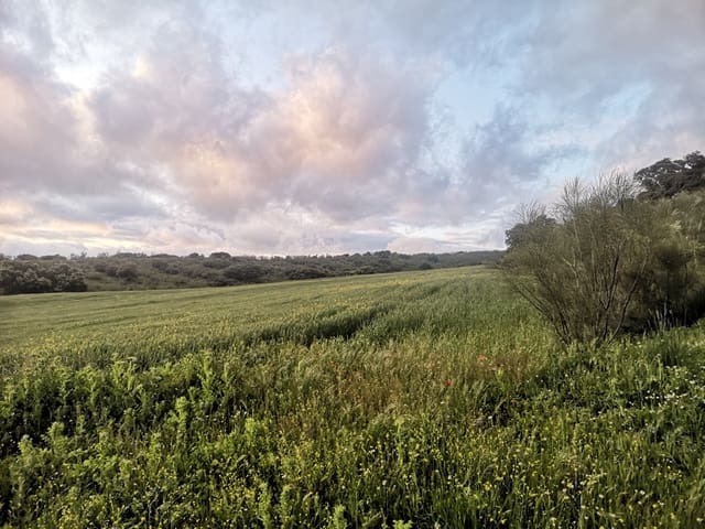 Image No.11-Maison de campagne à vendre à Torre-Alháquime