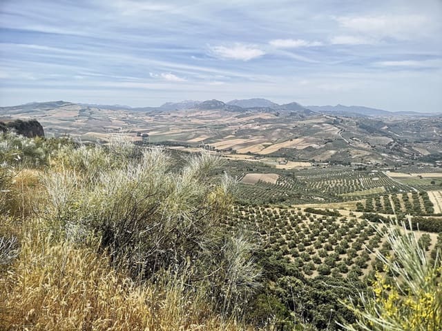 Image No.13-Maison de campagne à vendre à Torre-Alháquime
