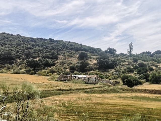 Image No.14-Maison de campagne à vendre à Torre-Alháquime