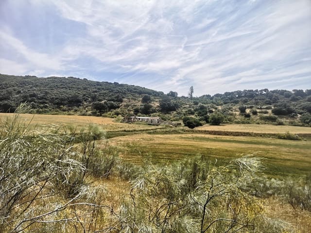 Image No.15-Maison de campagne à vendre à Torre-Alháquime
