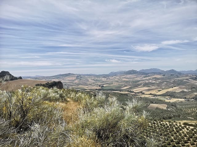 Image No.16-Maison de campagne à vendre à Torre-Alháquime