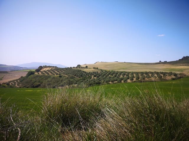 Image No.4-Maison de campagne à vendre à Torre-Alháquime