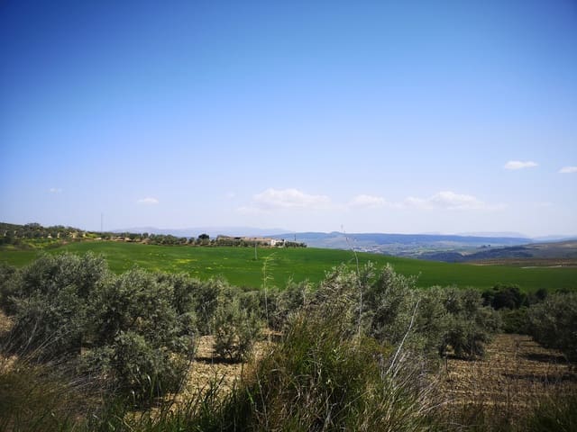 Image No.7-Maison de campagne à vendre à Torre-Alháquime