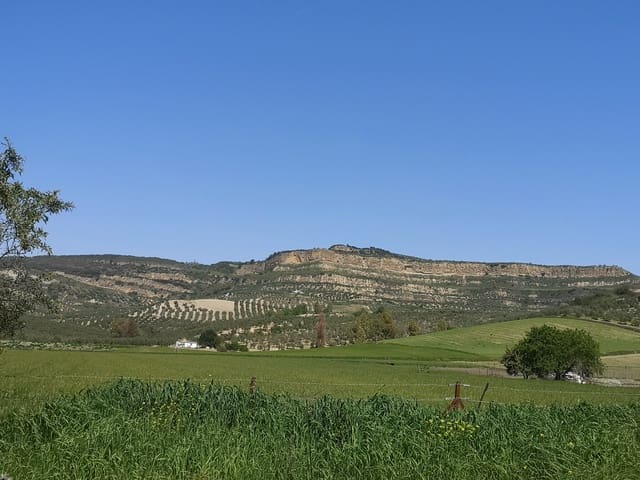 Image No.9-Maison de campagne à vendre à Torre-Alháquime