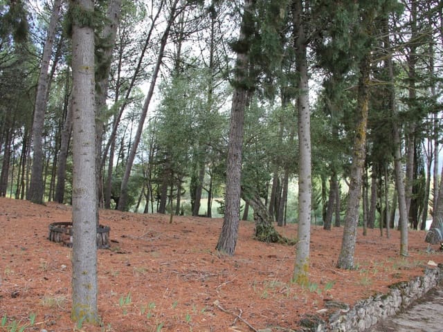 Image No.7-Maison de campagne de 3 chambres à vendre à Ronda