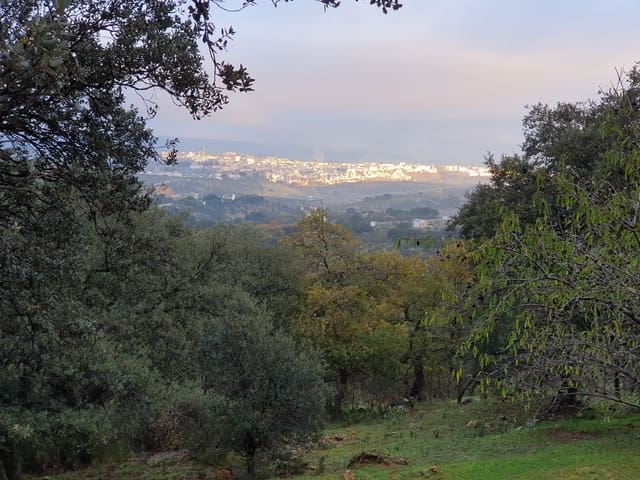 Image No.13-1 Bed Country House for sale