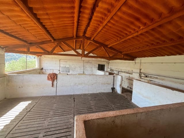 Image No.3-Country House for sale
