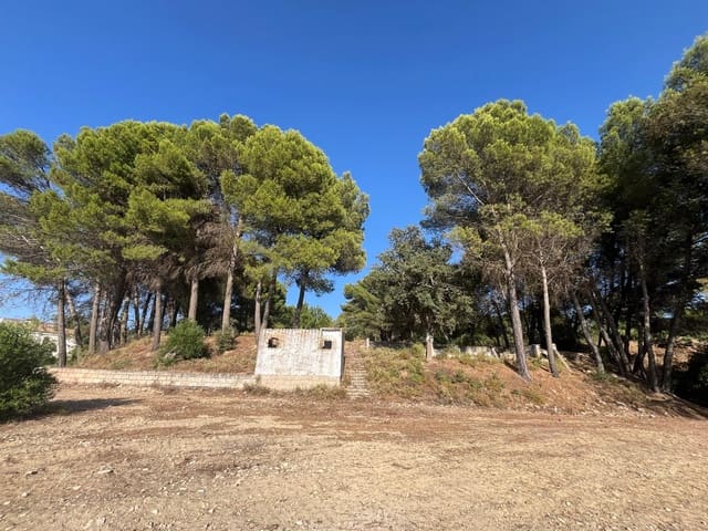 Image No.2-Maison de campagne à vendre à Ronda