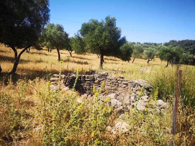 Image No.12-5 Bed Country House for sale