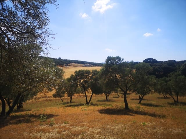 Image No.20-5 Bed Country House for sale