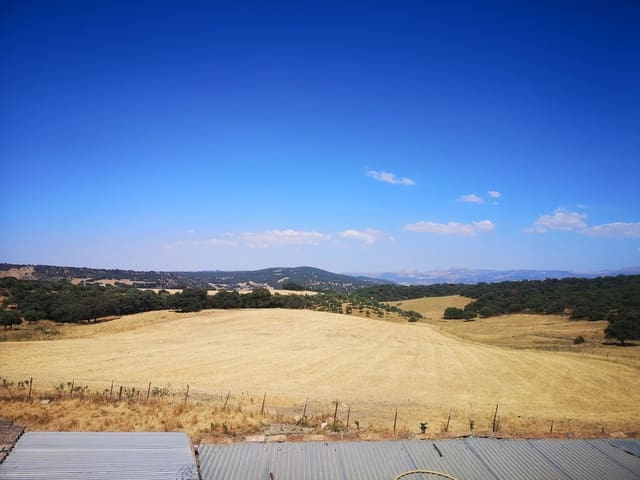 Image No.4-5 Bed Country House for sale