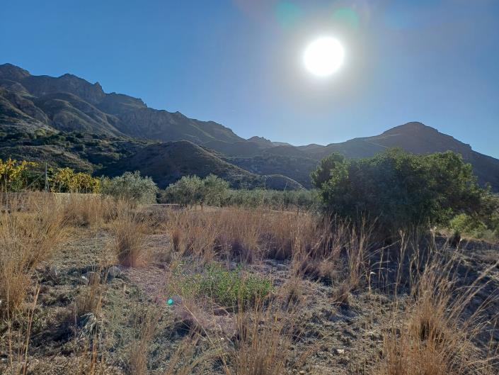 Image No.39-2 Bed Penthouse for sale