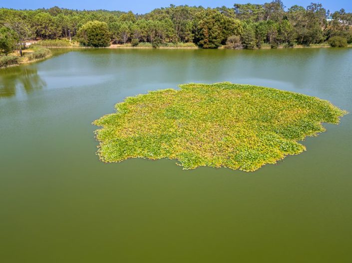 Image No.40-4 Bed House for sale