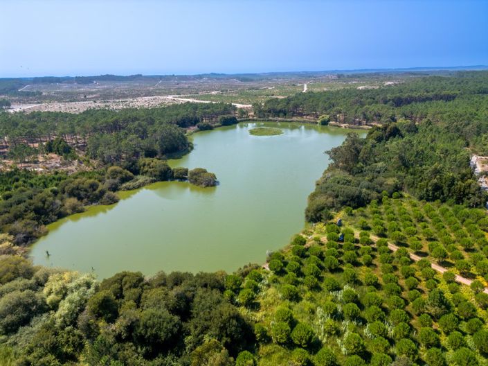 Image No.31-4 Bed House for sale