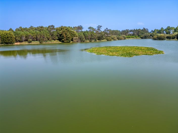 Image No.32-4 Bed House for sale