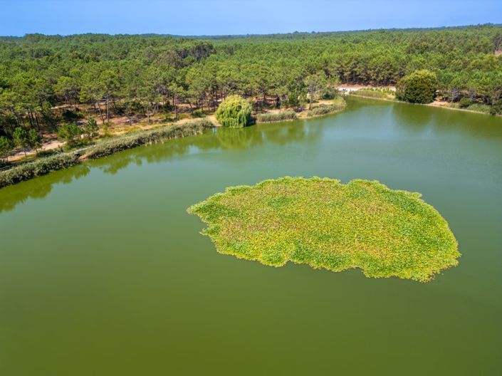 Image No.35-4 Bed House for sale