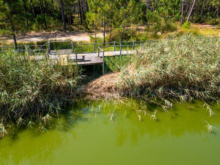 Image No.37-4 Bed House for sale