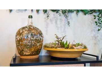 id13ba5a01-0000-0500-0000-0000110adb42