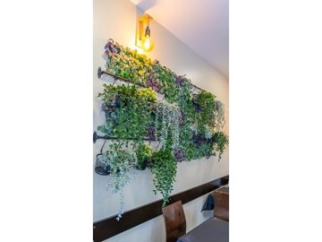 id13ba5a01-0000-0500-0000-0000110adb49